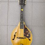 639 8691 Mandolin